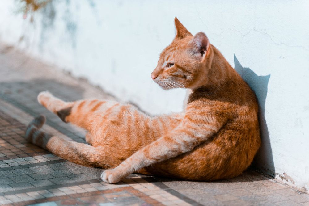 Photograph by KRITER AHMED