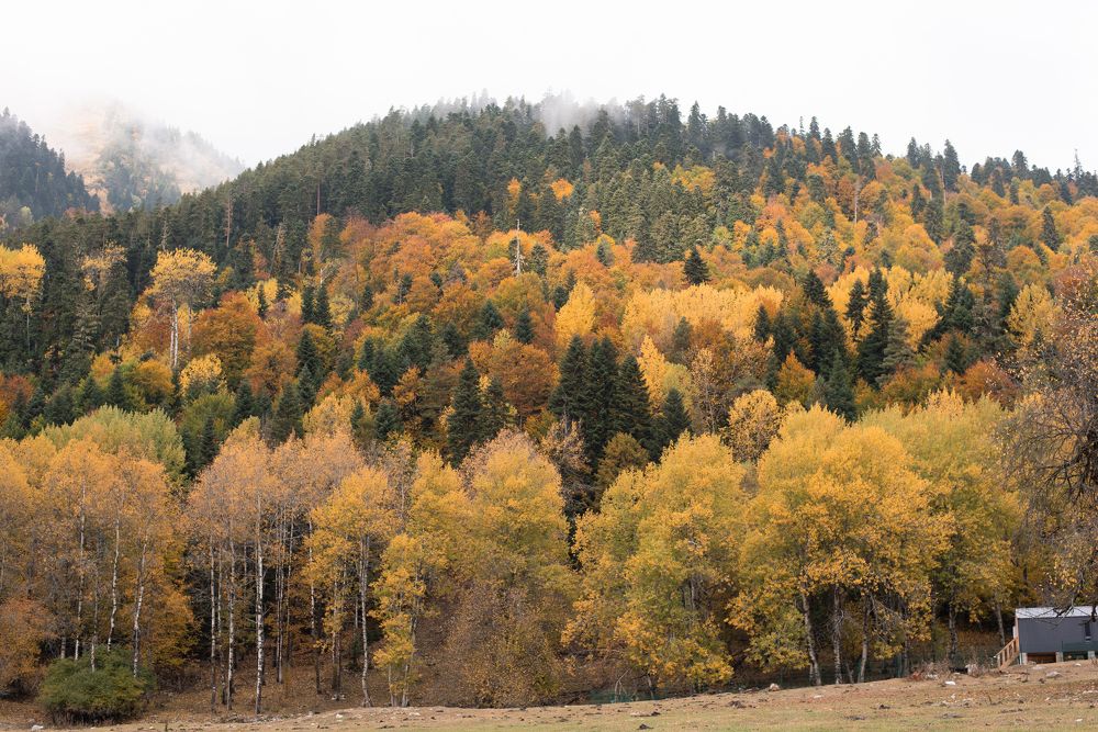 Photograph by Оксана Смирнова