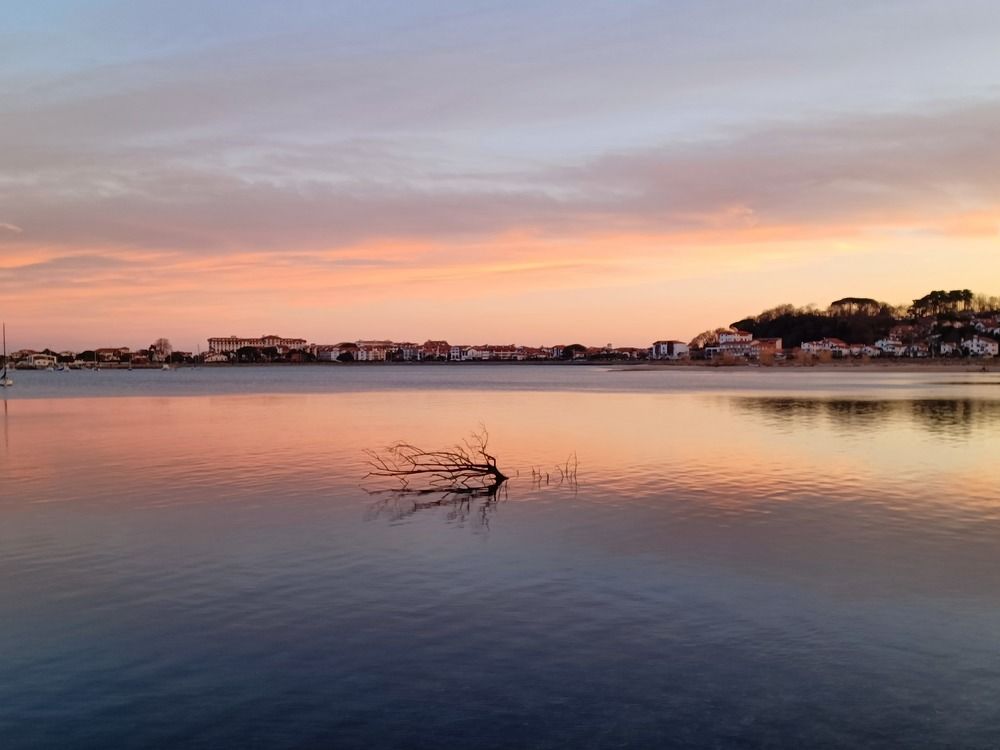 Photo #9699337