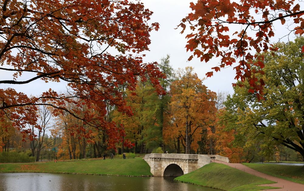 Photograph by елена