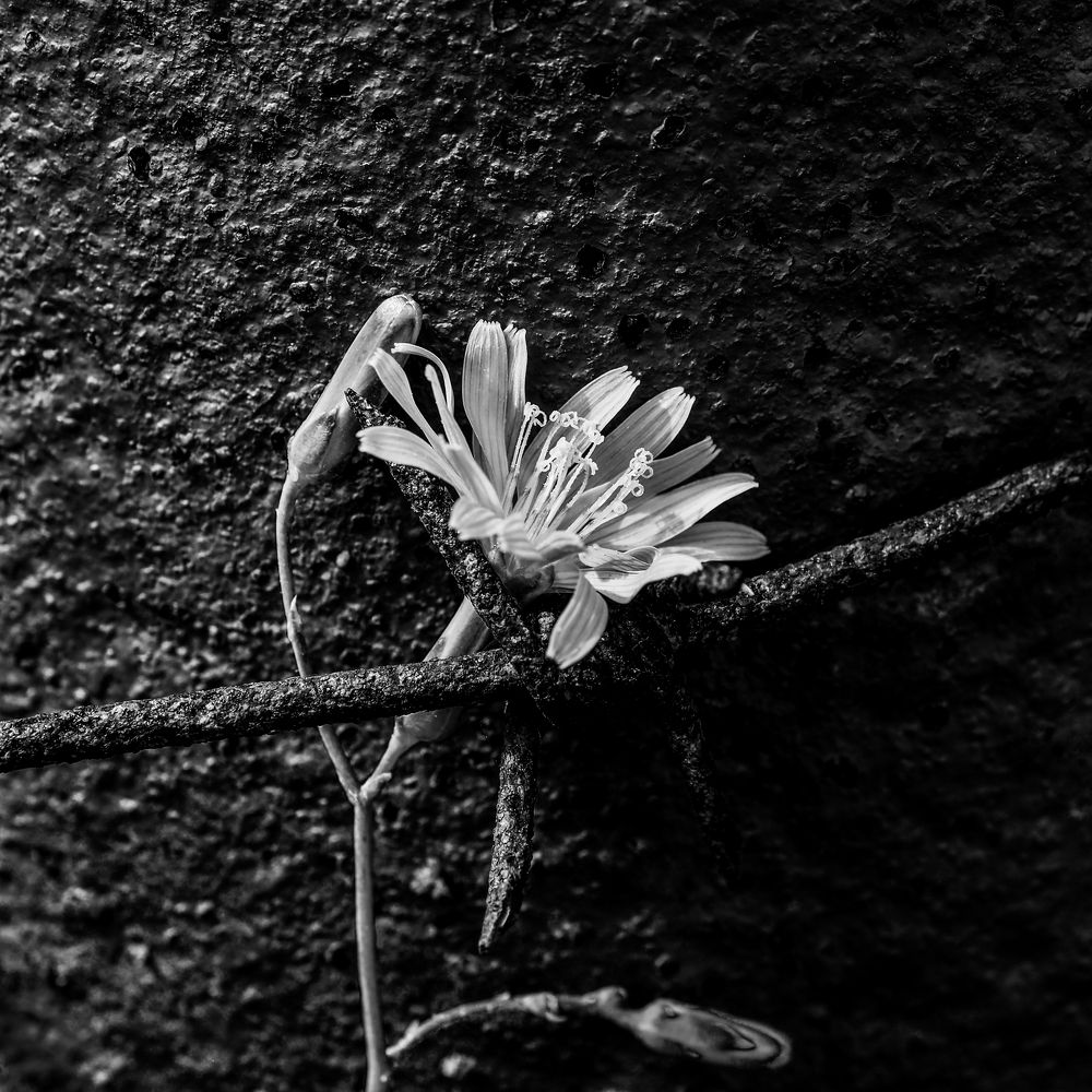 Photograph by Сергей Гаврилов