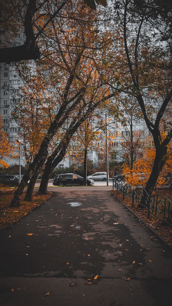 Фотография автора RENAT ABDULBYAROV