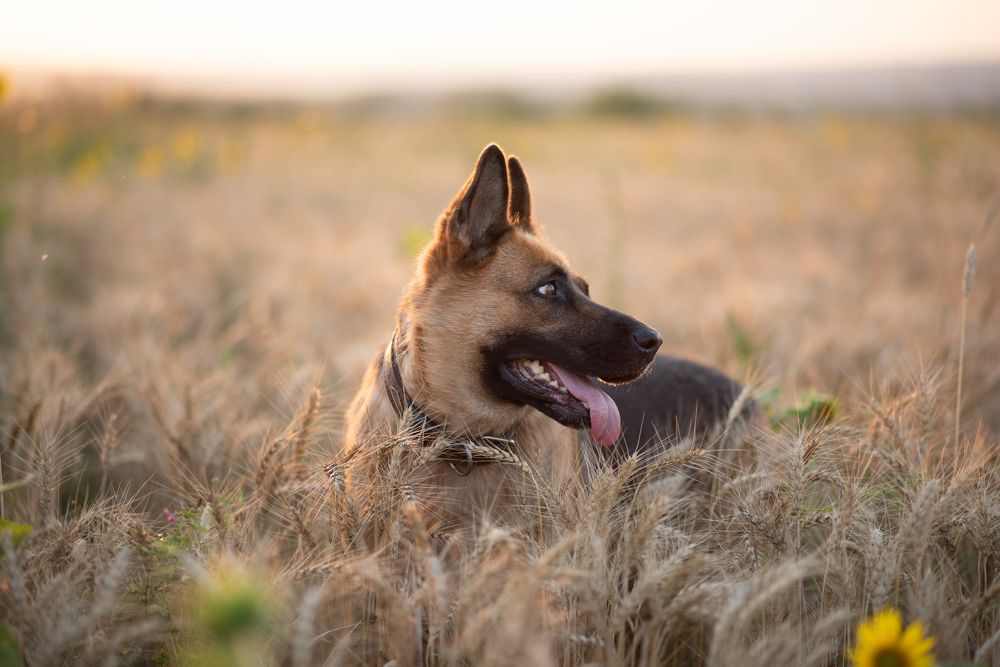 Photograph by Оксана Смирнова