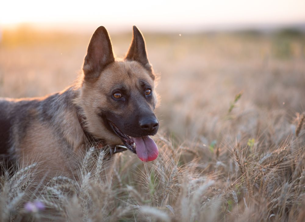 Photograph by Оксана Смирнова