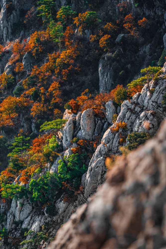 Photograph by Кривцов Андрей