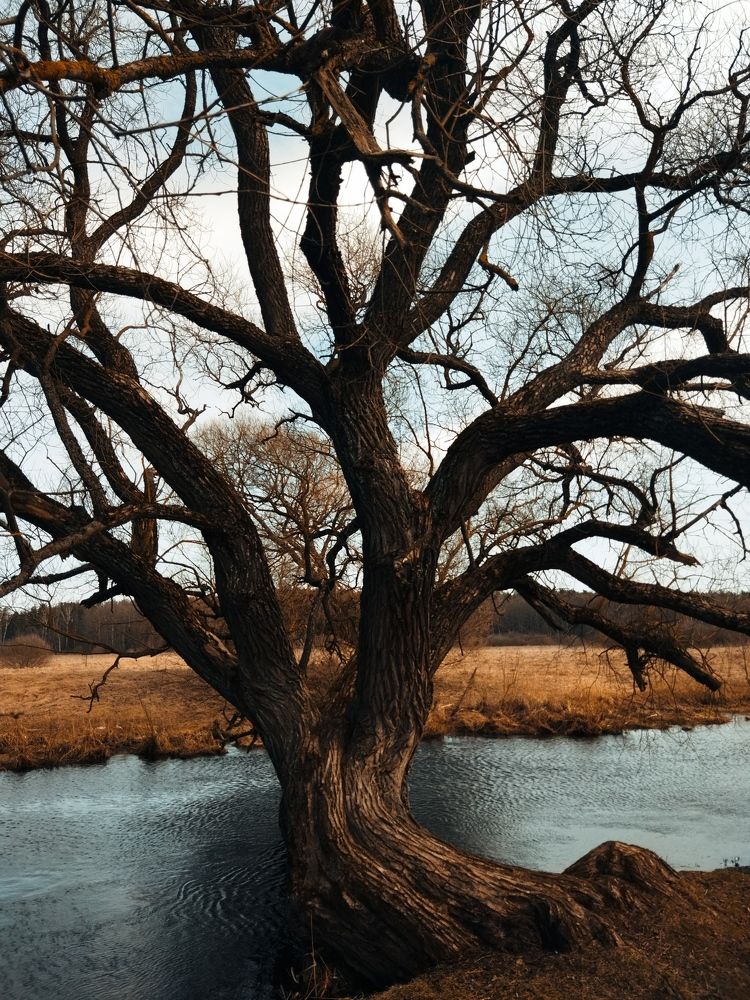 Photograph by Вероника Матиевская