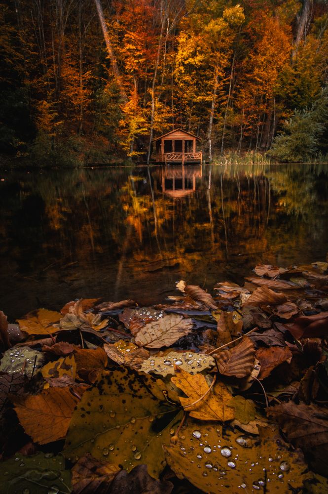 Photograph by Кривцов Андрей