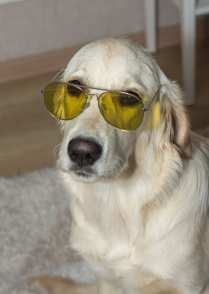 Photograph by Olga Min