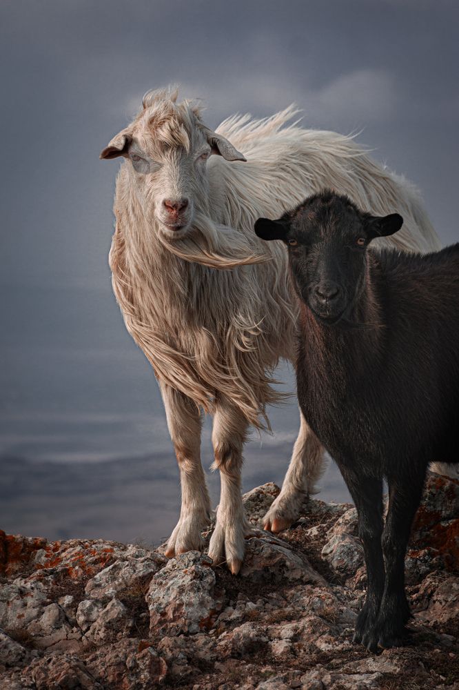 Photograph by Кривцов Андрей