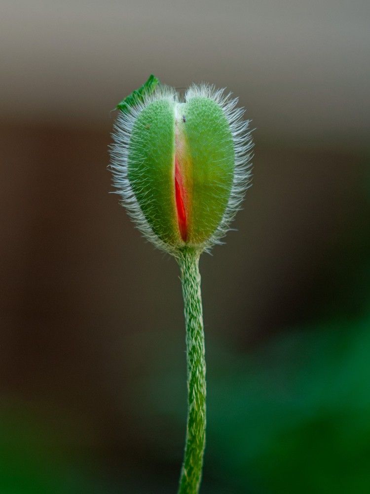 Photograph by Ольга Кудина