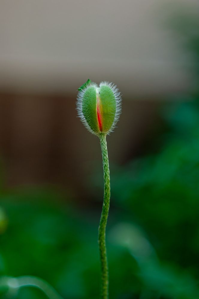 Photograph by Ольга Кудина