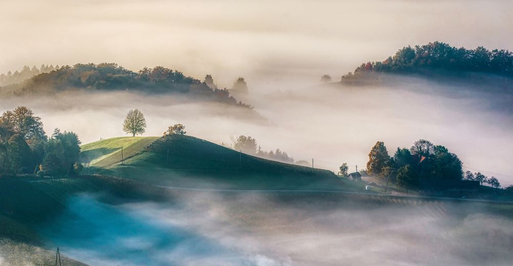 Photograph by Aleš Maučec