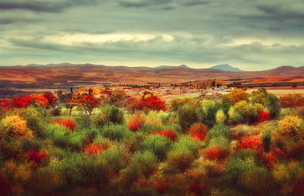 Photograph by Farzad Ajori