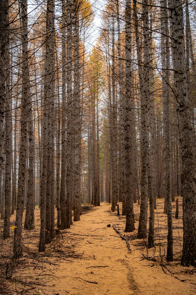 Photograph by Высотских Владимир