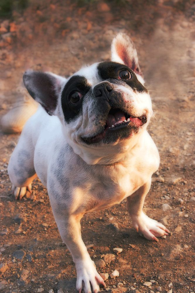 Photograph by Александр Удальчиков