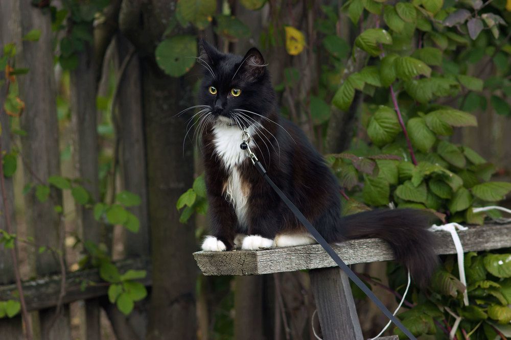 Photograph by Александр Удальчиков