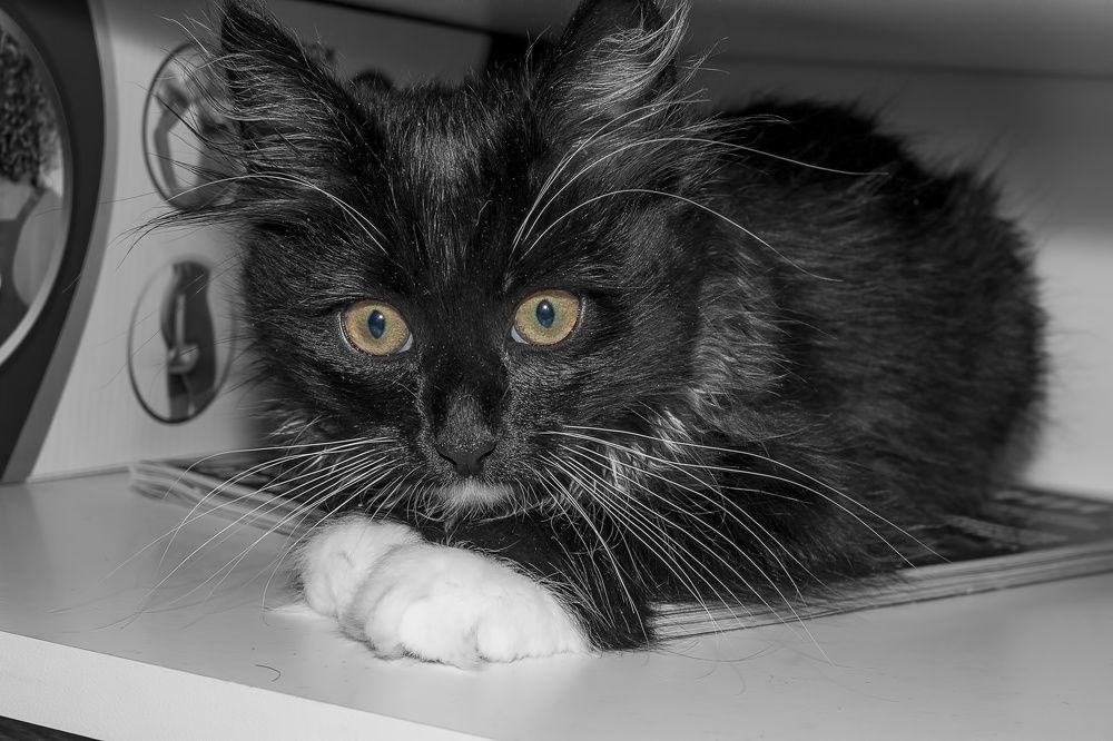 Photograph by Александр Удальчиков