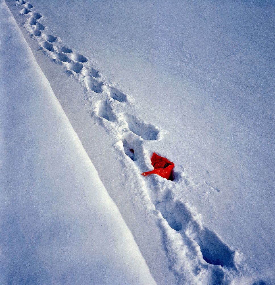Photograph by Дмитрий Ткаченко