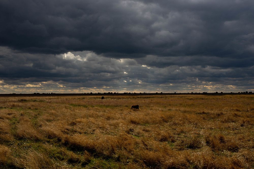 Photograph by Диана Ефанова