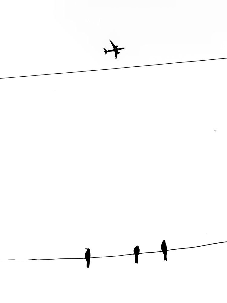 Photograph by HARSHIT MISHRA