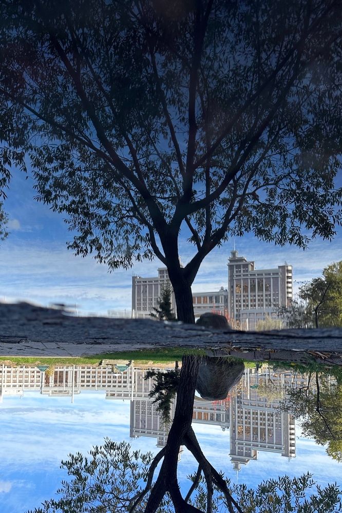 Photograph by Anastasiya Alferova