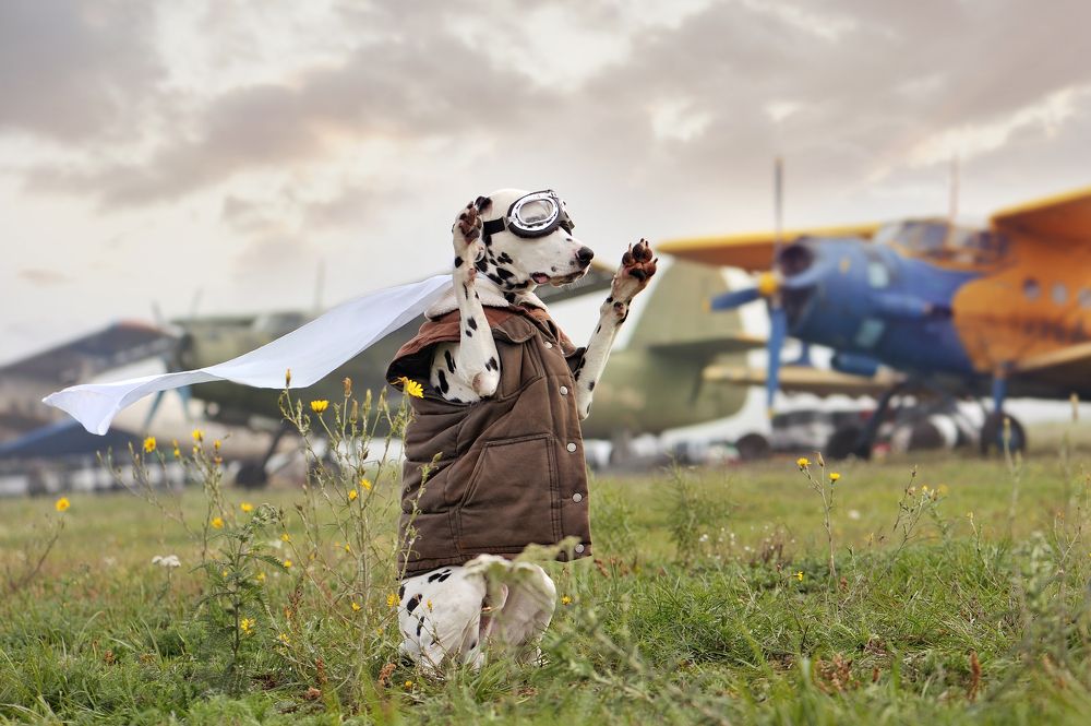 Photograph by Татьяна Калмацуй