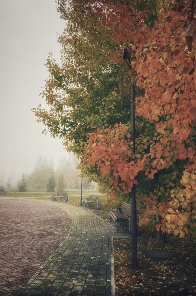 Фотография автора Алёна