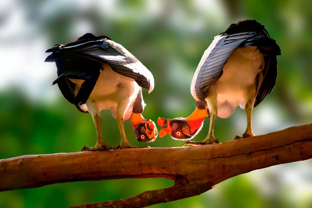 Photograph by Everton Medeiros