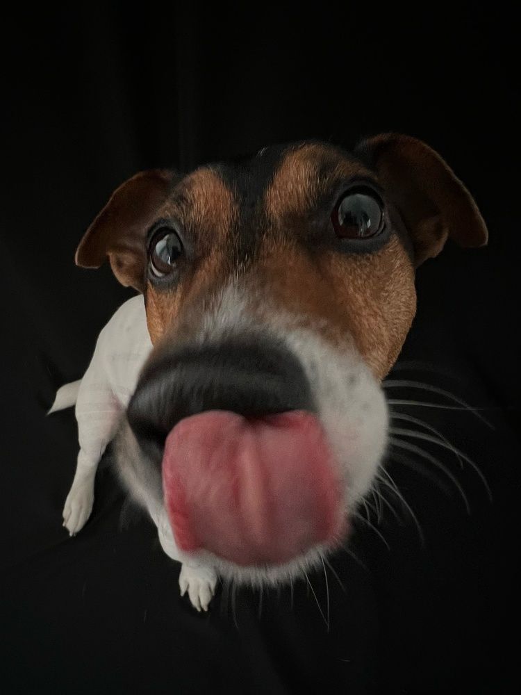 Фотография автора Ирина Мосько