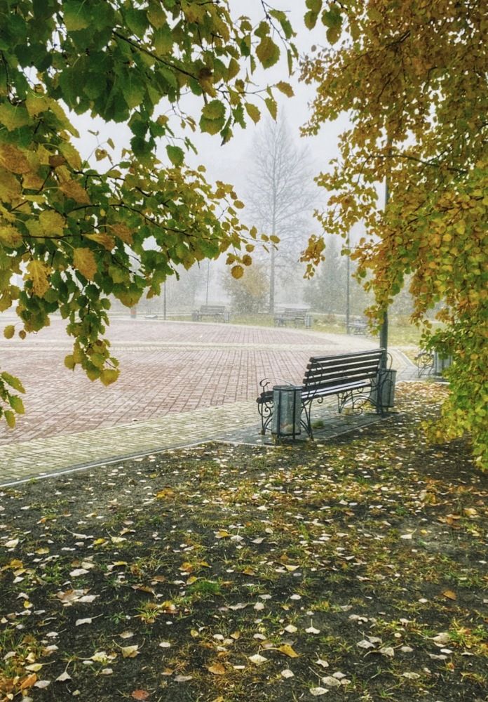 Фотография автора Алёна