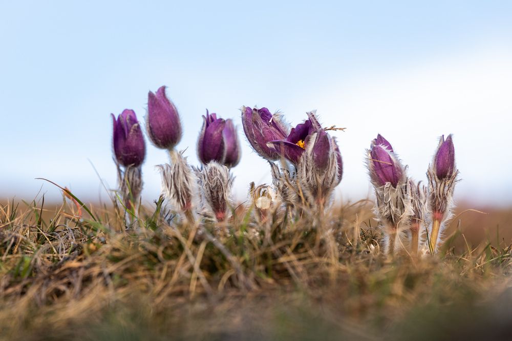 Photograph by Илья Юфа