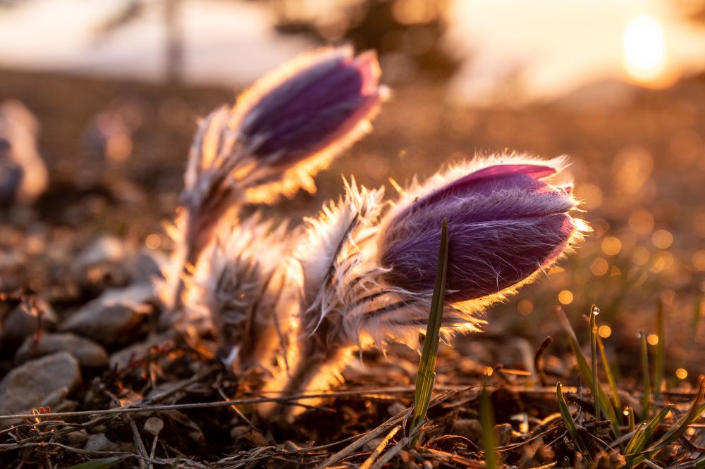 Photograph by Илья Юфа