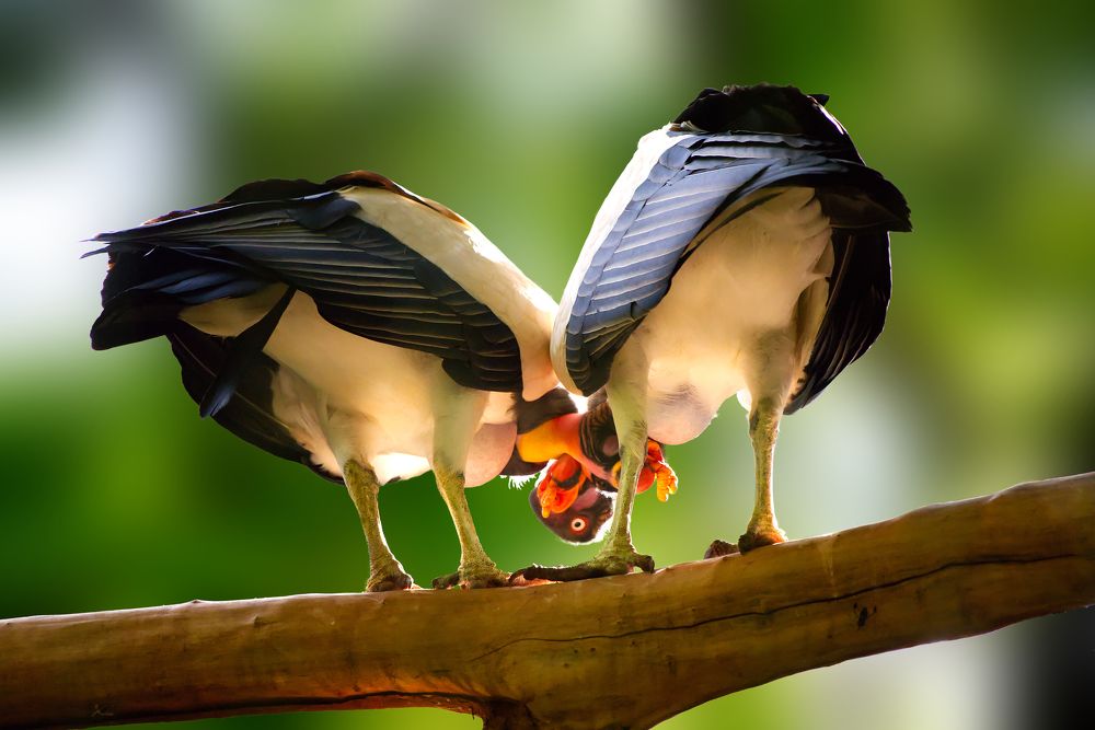 Photograph by Everton Medeiros