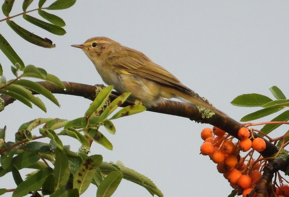 Photograph by Владимир Джерихов