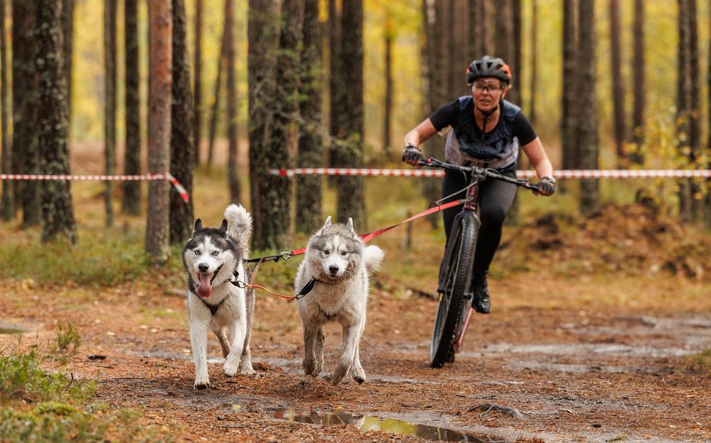 Photograph by Илья Юфа