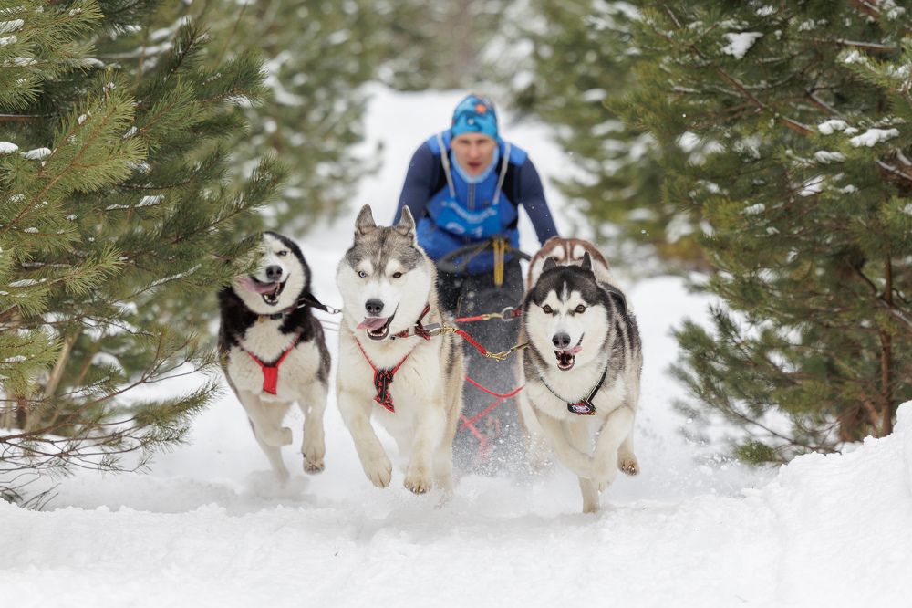 Photograph by Илья Юфа