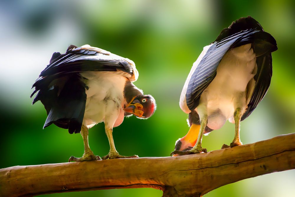 Photograph by Everton Medeiros