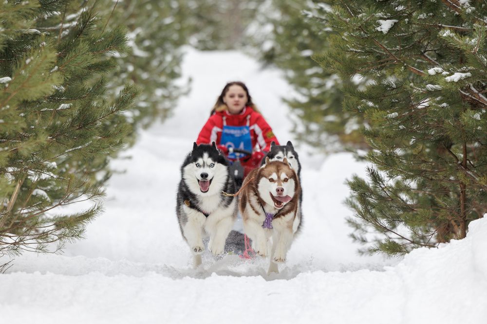 Photograph by Илья Юфа