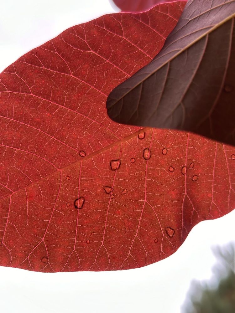 Photograph by Алан Гасымов