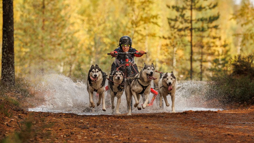 Photograph by Илья Юфа