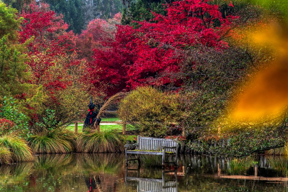 Photograph by Aleš Maučec