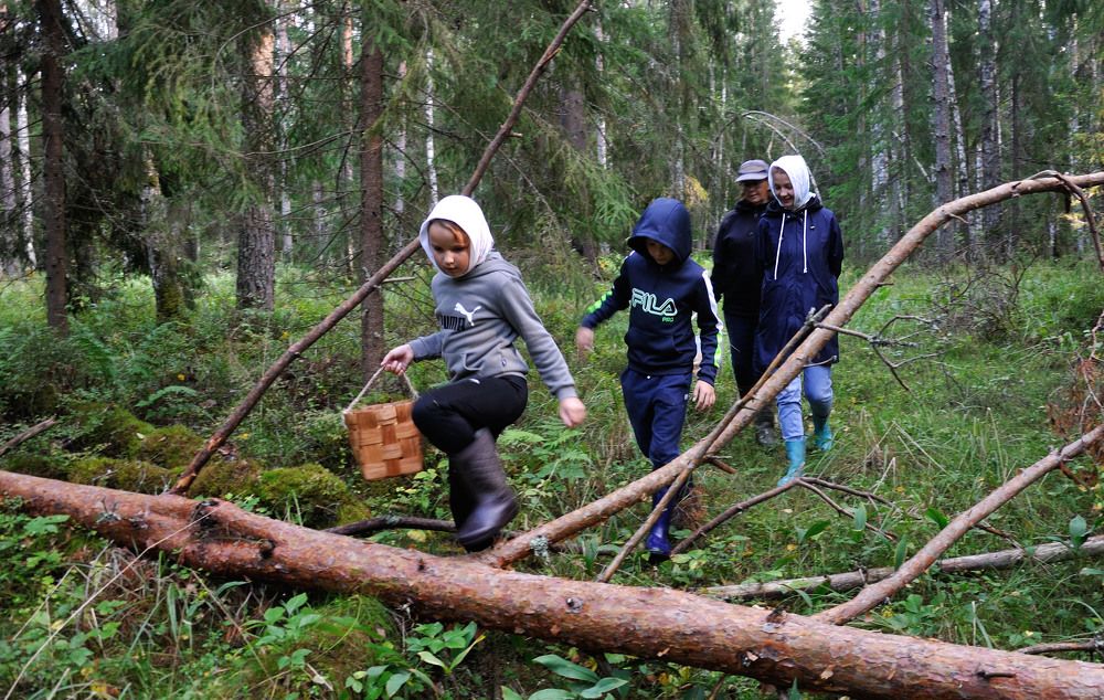 Photograph by Андрей Куликов