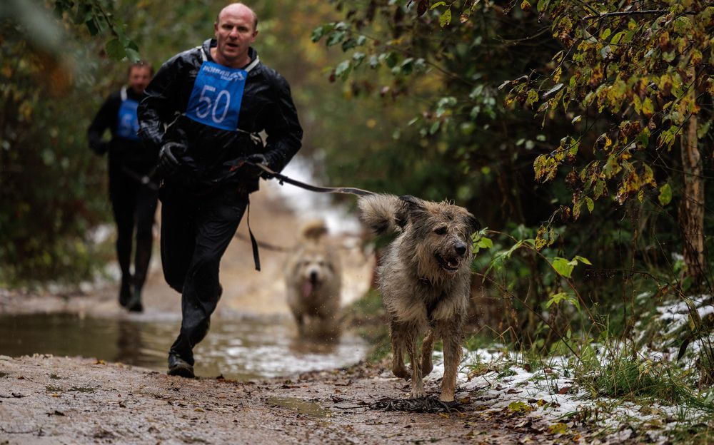 Фотография автора Илья Юфа