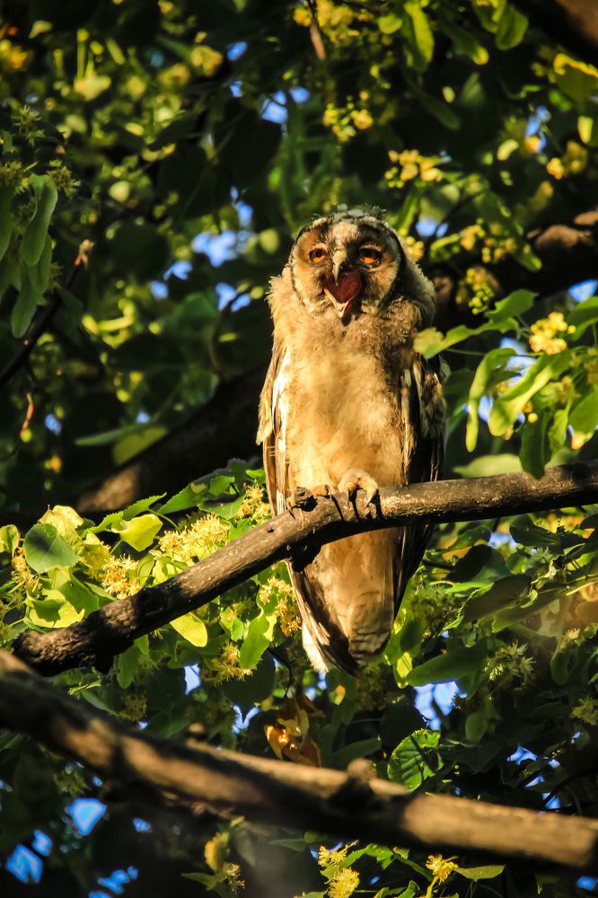 Photograph by Елизавета Цемко