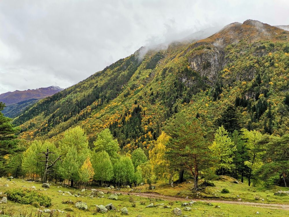 Photograph by Юлия Зубкова