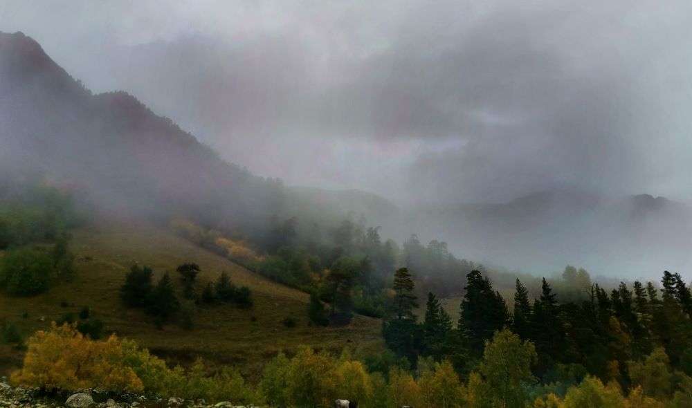 Photograph by Юлия Зубкова