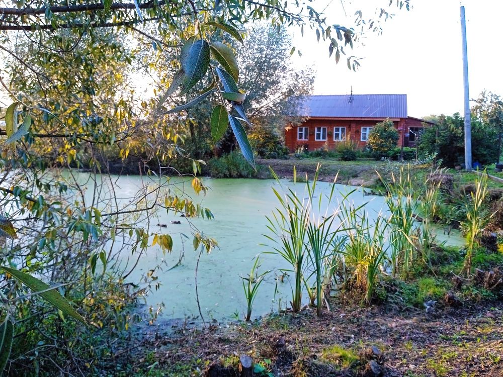 Photograph by Алия Хафизова