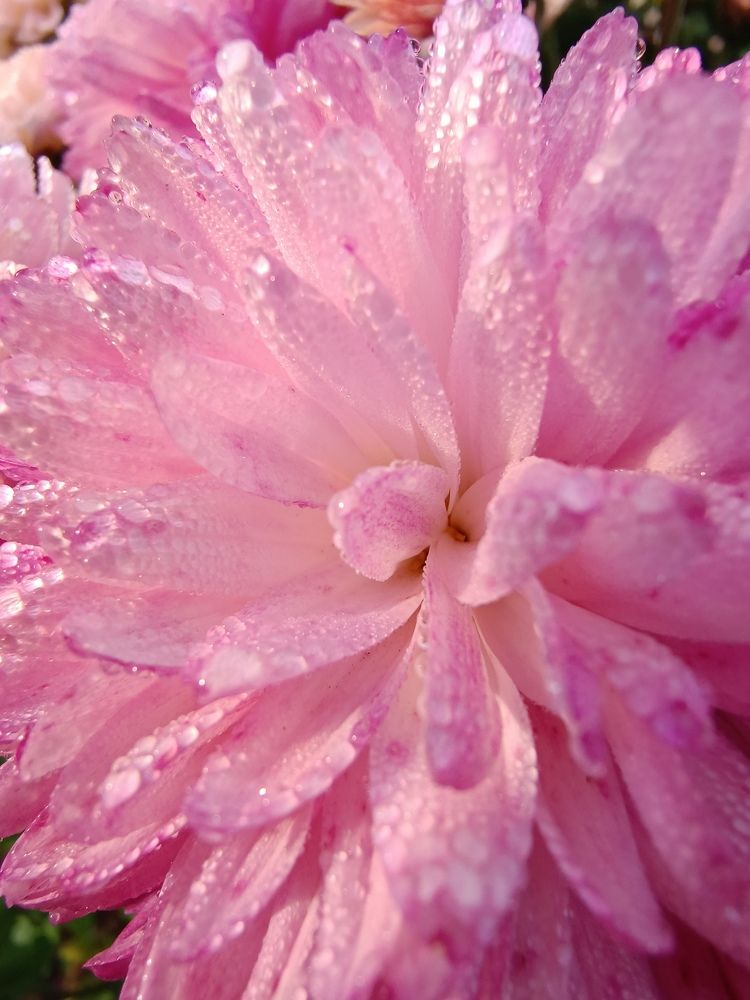 Photograph by Ирина Забродина