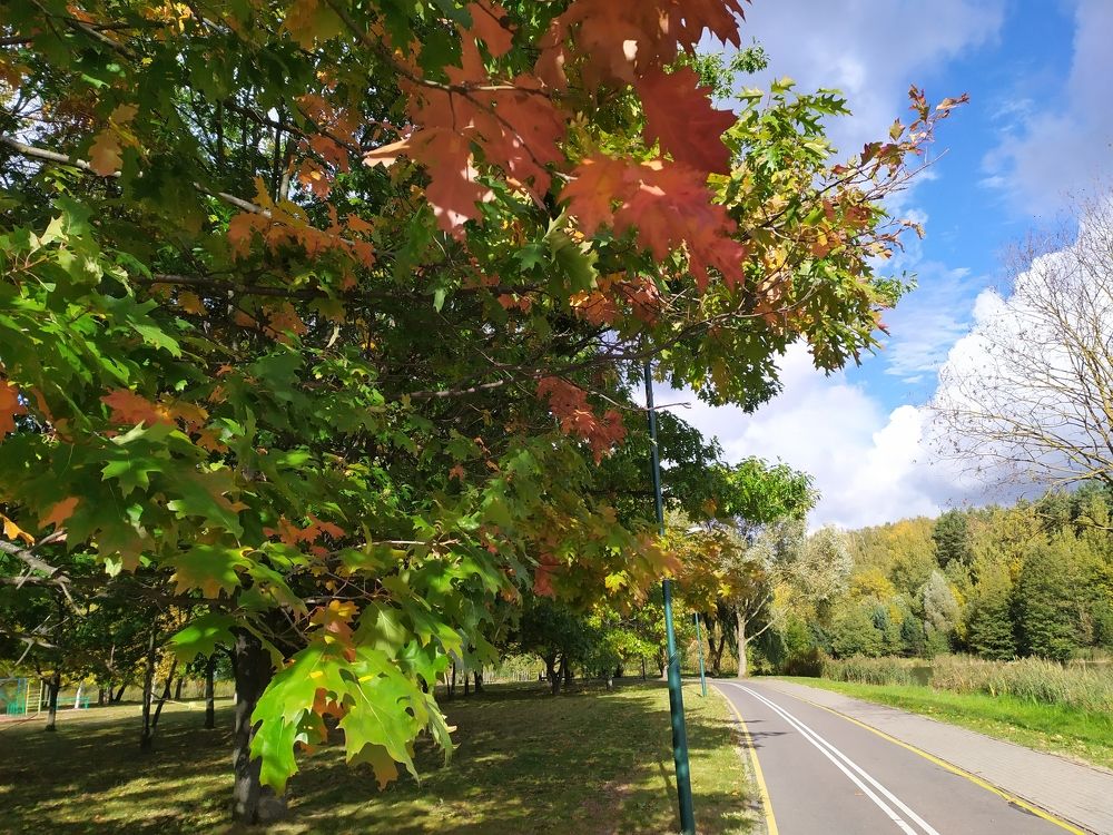 Photograph by Людмила Муравьева