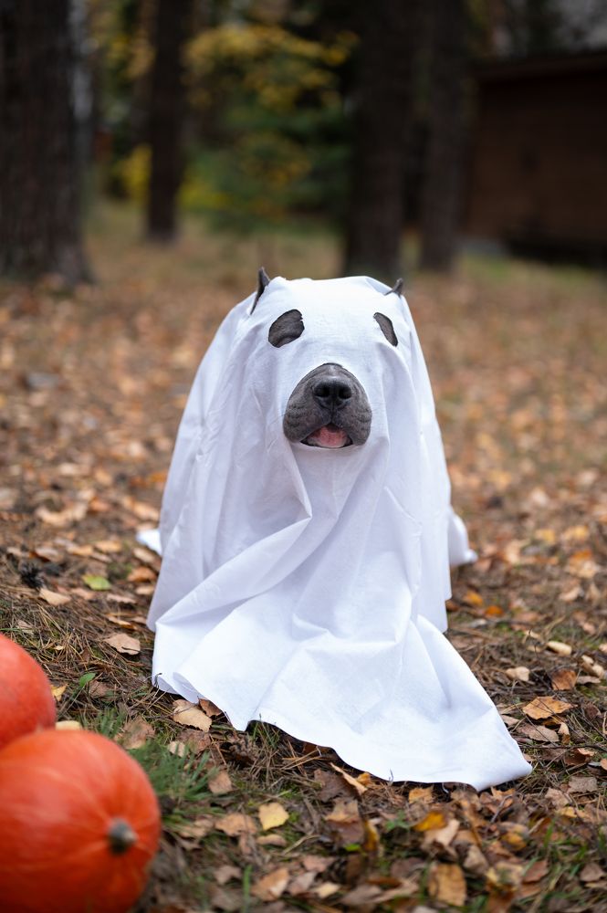 Photograph by Вика Нова